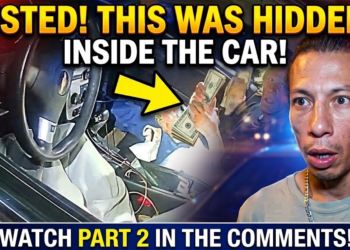 Extraterrestrial Visits Earth & Ends Badly