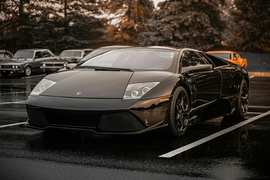 Dad Pulls Shotgun After 40-Year-Old Son Refuses to Get a Job - Image 3