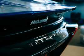 Hoarder Arrested After 175 Dogs Discovered - Image 3