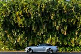 Stalker Sends 985 Messages Then Chokes Her Roommate - Image 3