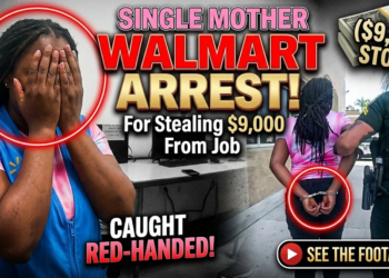 Single Mother Arrested After Stealing $9,000 from Her Job at Walmart