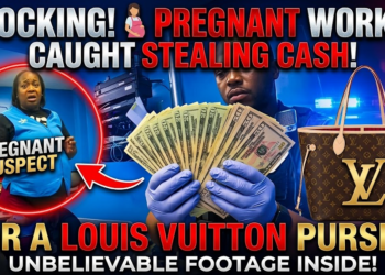 Pregnant Walmart Employee Caught Stealing Cash For Louis Vuitton Purse